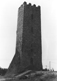 Torre de l'Aldea (1)