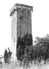 La Torre Simona (1)