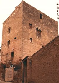 Castell de l'Albagés (2)