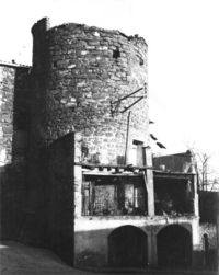 Castell de Talarn (1)