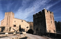Castell d'Olost (1)