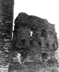 Castell de Rialp (2)