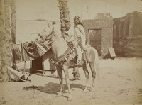 Beduino a cavallo (Costumi Arabi)