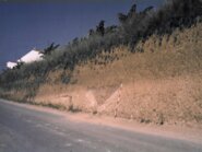Memòria de l'excavació d'urgència  al Camí de Cal Piques (Olèrdola, Alt Penedès)