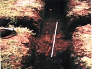 Memòria del sondeigs arqueològics a Can Solà del Racó (Matadepera, Vallès Occidental) Maig de 1991.