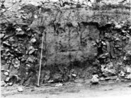 Memòria de l'excavació d'urgència del jaciment ibèric de Montilivi, Girona, Gironès