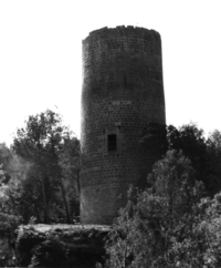 Castell de Fals (3)