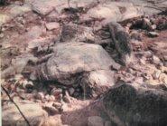 Memòria de les excavacions del jaciment de Can Feliu
