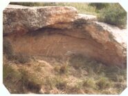Memòria de le sintervencions arqueològiques al nou traçat de la carretera TV - 3443, de Vinallop a Amposta (Montsià)