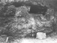 Sepulcre del Mas del Tancat (La Morera del Montsant, Priorat). Estudi antropològic de les restes humanes / Elisenda Vives Balmaña, El
