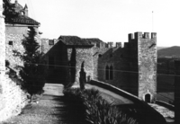 Castell de Montsonís (1)
