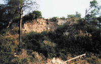 Castell del Freixe (1)