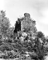 Castell de Sant Romà (1)