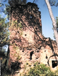 Església de Sant Vicenç d'Aladernet (1)