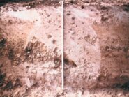 Memòria de les excavacions d'urgència de les sitges de Can Roca de la Pedrissa (Igualada - l'Anoia)