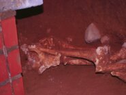 Memòria de l'excavació arqueològica del jaciment del Bronze inicial de La Serreta (Rubí, Vallès Occidental)