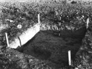 Memòria campanya d'excavacions 1981 Vil·la romana de l'Espelt