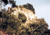 Castell d'Olesa (1)