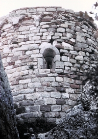 Castell d'Olesa (2)