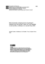 Memòria de les campanyes de consolidació i manteniment del jaciment ibèric de Puig Castellet (Lloret de Mar, la Selva) en el curs de l'any 2000