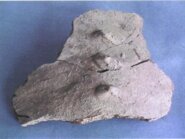 Memòria de l'excavació arqueològica de les Portes. 1998 - 1999 - 2000