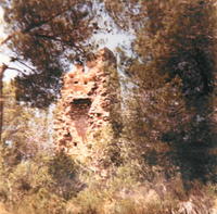 Torre d'Abella (1)