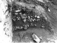 Memòria 1982. Excavacions al jaciment del Turó del Montgrès (El Brull)