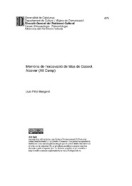 Memòria de l'excavació de Mas de Gassol, Alcover (Alt Camp)