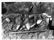 Memòria de les campanyes d'excavació de 1981 a 1983 a l'Illa d'en Reixac d'Ullastret