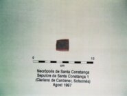 Memòria dels treballs arqueològics a la necròpolis neolítica de Santa Constança (Clariana de Cardener, Solsonès). Sepulcre 1