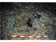 Memòria dels treballs arqueològics del sepulcre neolític de Cal Rajolí (Olius, Solsonès)