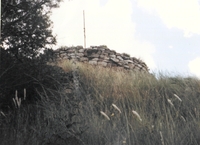 Castell de Callús (2)