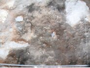 Memòria de l'excavació arqueològica d'urgència a l'Abric Agut