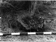 Memòria de les campanyes d'excavacions a Ca l'Artur (Calafell, Baix Penedés) 1985-1986