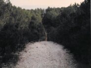 Memòria de les prospecions del tram del gaseoducte: Subirats-Òdena