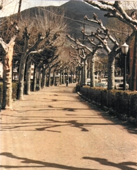 Passeig Guimerà (2)