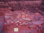 Memòria de l'excavació d'urgència del Túmul de "El Tancat" (La Ganja d'Escarp, Segrià)