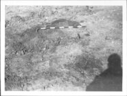 Memòria de l'excavació d'urgència de la vil·la romana del Bosquet (Sant Pere de Ribes , Garraf): 24 de febrer - 31 de març de 1984