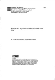 Prospecció i seguiment d'obres de Clavisa - Can Olla