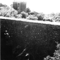 Aqüeducte de la Sèquia de Manresa (2)