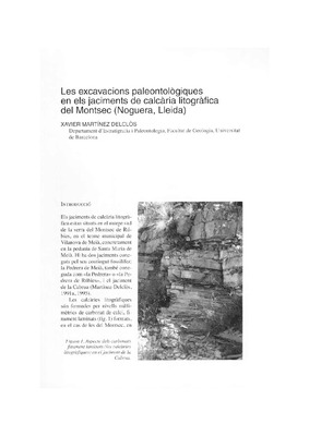 Les excavacions paleontològiques en els jaciments de calcària litogràfica del Montsec