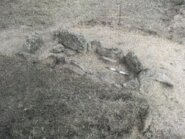 Memòria de la intervenció arqueològica al sepulcre del Mirador (Castellar de la Ribera, Solsonès)