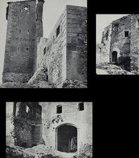Castell de Vallmoll (3)