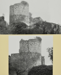 Castell de Sales (4)