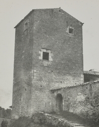 Castell de Palol de Revardit (1)