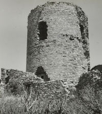 Castell de l'Ametlla de Segarra (3)