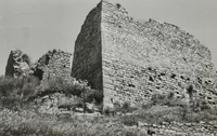 Castell de Montoliu de Segarra (6)