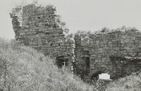 Castell de Montoliu de Segarra (8)