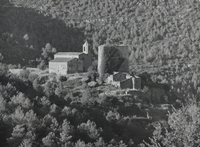 Castell de Riner (1)