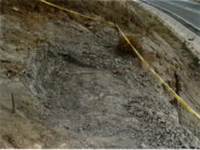 Memòria de l'excavació paleontologica d'urgencia al jaciment de Fontllonga (La Noguera, Lleida)